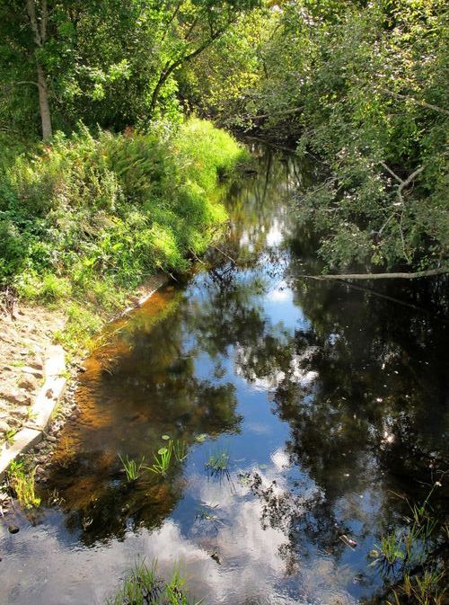 Maakond: Jõgevamaa Veekogu nimi: Mustvee jõgi Pildistamise aeg: 10. september 2011 Pildistaja: H. Timm Pildistamise koht: Luige Asimuut: