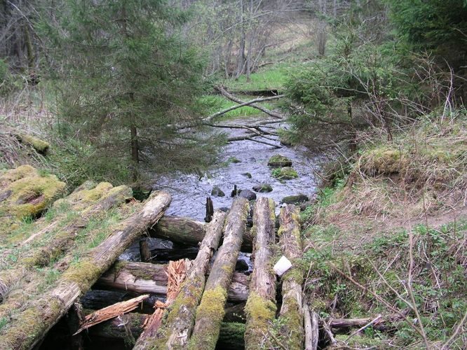 Maakond: Põlvamaa Veekogu nimi: Mutsina järv Pildistamise aeg: 30. juuni 2005 Pildistaja: H. Timm Pildistamise koht: teadmata Asimuut: