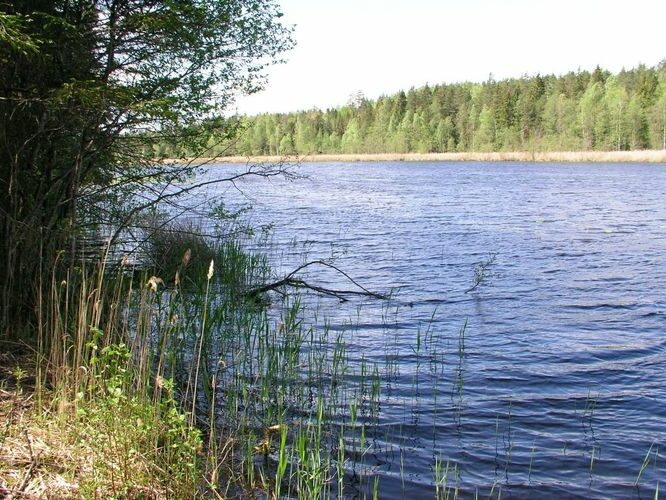 Maakond: Põlvamaa Veekogu nimi: Mutsina järv Pildistamise aeg: 25. mai 2007 Pildistaja: H. Timm Pildistamise koht: teadmata Asimuut: