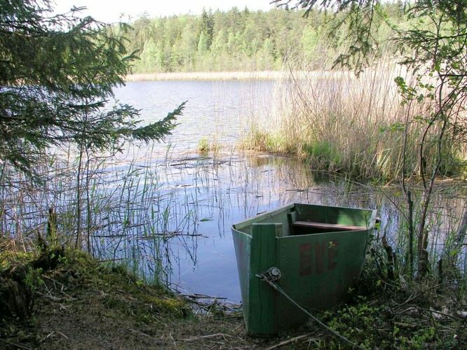 Maakond: Põlvamaa Veekogu nimi: Mutsina järv Pildistamise aeg: 25. mai 2007 Pildistaja: H. Timm Pildistamise koht: teadmata Asimuut: