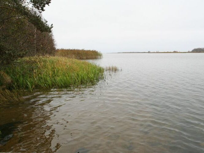 Maakond: Ida-Virumaa Veekogu nimi: Narva jõgi Pildistamise aeg: 25. oktoober 2007 Pildistaja: H. Timm Pildistamise koht: Narva veehoidla W-osast saarelt Asimuut: