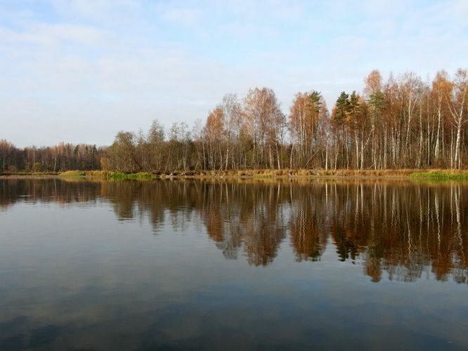 Maakond: Ida-Virumaa Veekogu nimi: Narva jõgi Pildistamise aeg: 25. oktoober 2007 Pildistaja: H. Timm Pildistamise koht: Permisküla saar lõunast Asimuut: