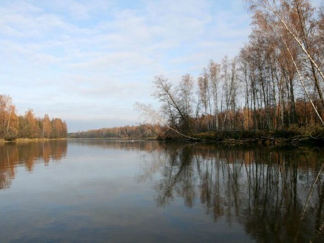 Maakond: Ida-Virumaa Veekogu nimi: Narva jõgi Pildistamise aeg: 25. oktoober 2007 Pildistaja: H. Timm Pildistamise koht: Permisküla saar vasakul Asimuut: