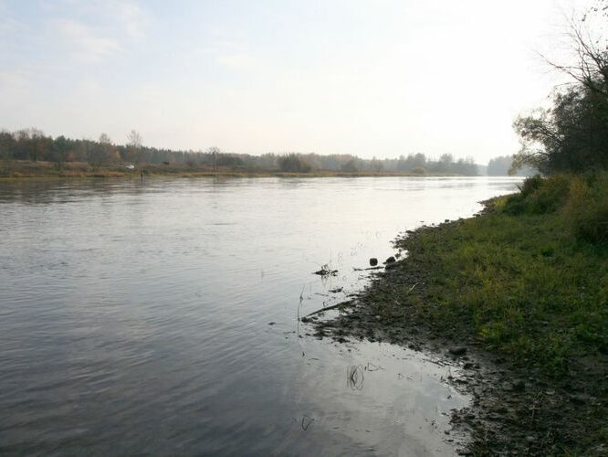 Maakond: Ida-Virumaa Veekogu nimi: Narva jõgi Pildistamise aeg: 25. oktoober 2007 Pildistaja: H. Timm Pildistamise koht: Permisküla saare N otsas Asimuut: