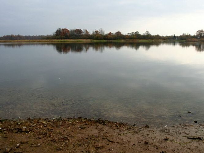 Maakond: Ida-Virumaa Veekogu nimi: Narva jõgi Pildistamise aeg: 25. oktoober 2007 Pildistaja: H. Timm Pildistamise koht: Vasknarva Asimuut: