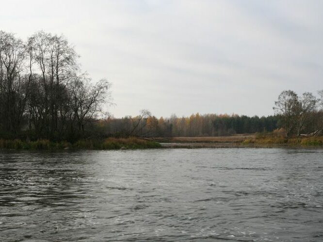 Maakond: Ida-Virumaa Veekogu nimi: Narva jõgi Pildistamise aeg: 25. oktoober 2007 Pildistaja: H. Timm Pildistamise koht: Suursaare ja Väikesaare vahe idast Asimuut: