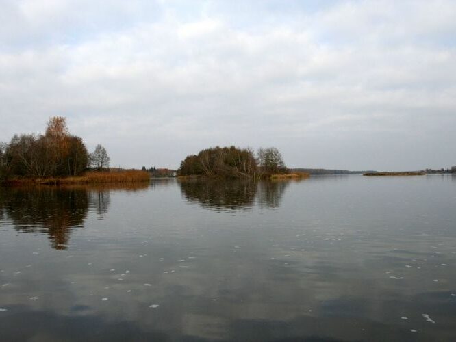 Maakond: Ida-Virumaa Veekogu nimi: Narva jõgi Pildistamise aeg: 25. oktoober 2007 Pildistaja: H. Timm Pildistamise koht: Gorodenka saared S-st Asimuut: