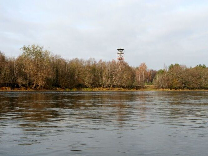 Maakond: Ida-Virumaa Veekogu nimi: Narva jõgi Pildistamise aeg: 25. oktoober 2007 Pildistaja: H. Timm Pildistamise koht: Permisküla torn Asimuut: