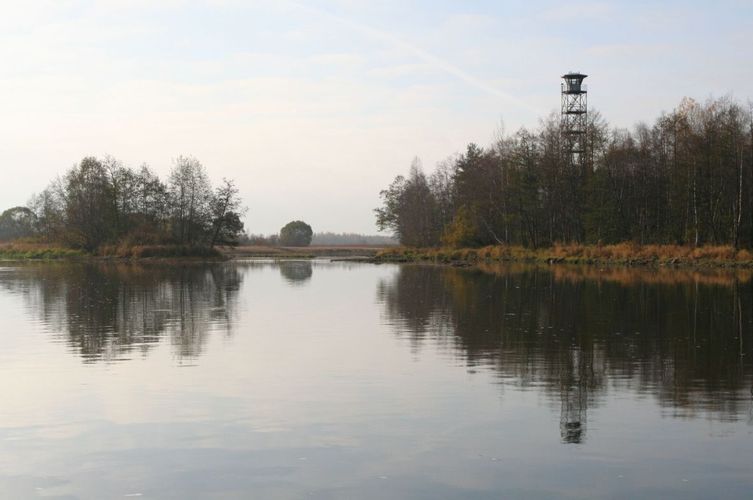 Maakond: Ida-Virumaa Veekogu nimi: Narva jõgi Pildistamise aeg: 25. oktoober 2007 Pildistaja: H. Timm Pildistamise koht: allpool Perevolokat, Karoli struuga Asimuut: