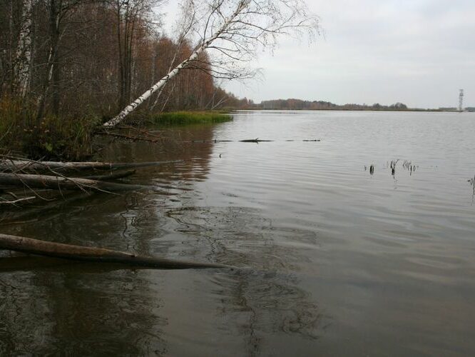 Maakond: Ida-Virumaa Veekogu nimi: Narva jõgi Pildistamise aeg: 25. oktoober 2007 Pildistaja: H. Timm Pildistamise koht: Mustajõe proovikoht, suudmest ca 2 km S Asimuut: