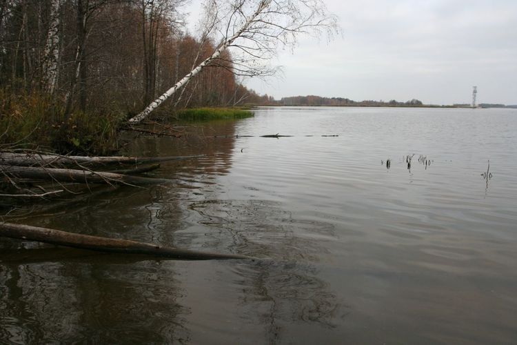 Maakond: Ida-Virumaa Veekogu nimi: Narva jõgi Pildistamise aeg: 25. oktoober 2007 Pildistaja: H. Timm Pildistamise koht: Mustajõe proovikoht, suudmest ca 2 km S Asimuut: