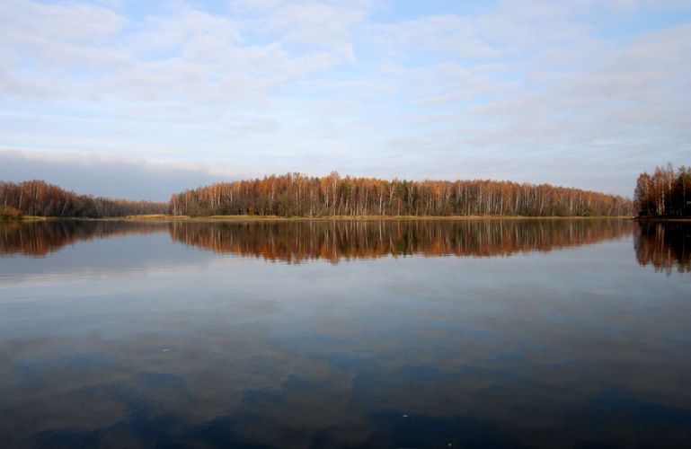 Maakond: Ida-Virumaa Veekogu nimi: Narva jõgi Pildistamise aeg: 25. oktoober 2007 Pildistaja: H. Timm Pildistamise koht: Permisküla saar lõunast Asimuut: