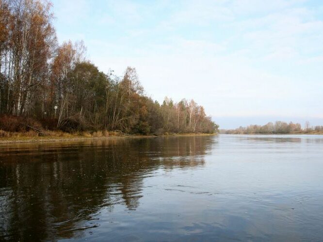 Maakond: Ida-Virumaa Veekogu nimi: Narva jõgi Pildistamise aeg: 25. oktoober 2007 Pildistaja: H. Timm Pildistamise koht: Permisküla saar vasakul Asimuut: