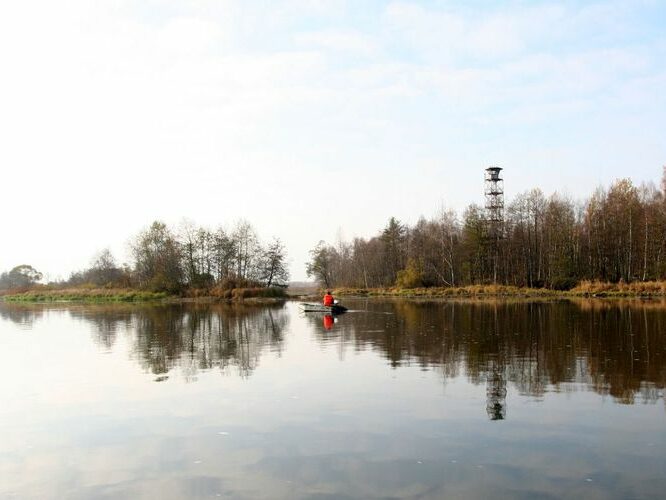 Maakond: Ida-Virumaa Veekogu nimi: Narva jõgi Pildistamise aeg: 25. oktoober 2007 Pildistaja: H. Timm Pildistamise koht: allpool Perevolokat, Karoli struuga Asimuut: