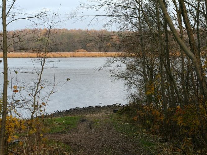 Maakond: Ida-Virumaa Veekogu nimi: Narva jõgi Pildistamise aeg: 26. oktoober 2007 Pildistaja: H. Timm Pildistamise koht: Riigiküla Asimuut: