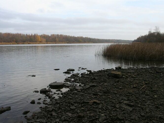 Maakond: Ida-Virumaa Veekogu nimi: Narva jõgi Pildistamise aeg: 26. oktoober 2007 Pildistaja: H. Timm Pildistamise koht: Riigiküla Asimuut: