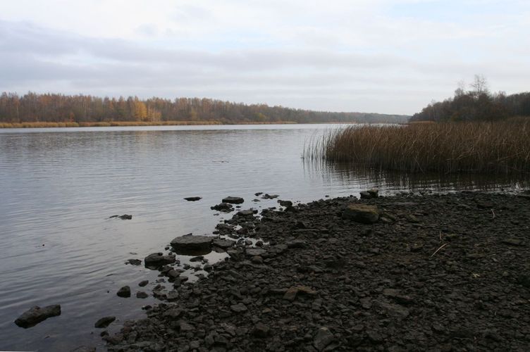 Maakond: Ida-Virumaa Veekogu nimi: Narva jõgi Pildistamise aeg: 26. oktoober 2007 Pildistaja: H. Timm Pildistamise koht: Riigiküla Asimuut: