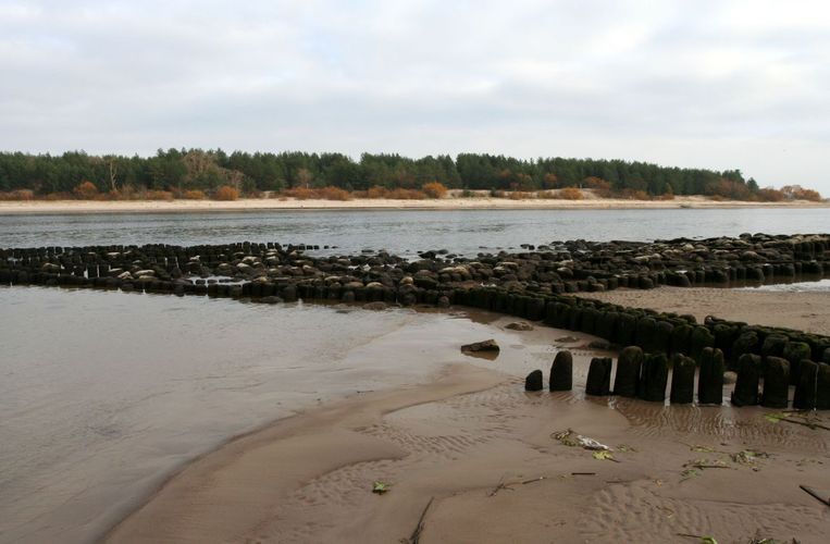 Maakond: Ida-Virumaa Veekogu nimi: Narva jõgi Pildistamise aeg: 26. oktoober 2007 Pildistaja: H. Timm Pildistamise koht: Narva-Jõesuu Asimuut: