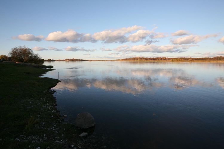 Maakond: Ida-Virumaa Veekogu nimi: Narva jõgi Pildistamise aeg: 16. oktoober 2008 Pildistaja: H. Timm Pildistamise koht: Vasknarva Asimuut: