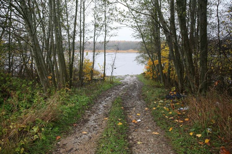 Maakond: Ida-Virumaa Veekogu nimi: Narva jõgi Pildistamise aeg: 16. oktoober 2008 Pildistaja: H. Timm Pildistamise koht: Siivertsi Asimuut: