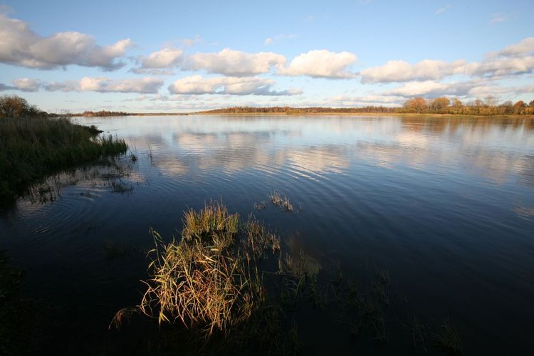 Maakond: Ida-Virumaa Veekogu nimi: Narva jõgi Pildistamise aeg: 16. oktoober 2008 Pildistaja: H. Timm Pildistamise koht: Vasknarva Asimuut: