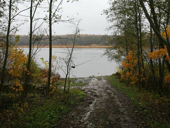 Maakond: Ida-Virumaa Veekogu nimi: Narva jõgi Pildistamise aeg: 16. oktoober 2008 Pildistaja: H. Timm Pildistamise koht: Siivertsi Asimuut: