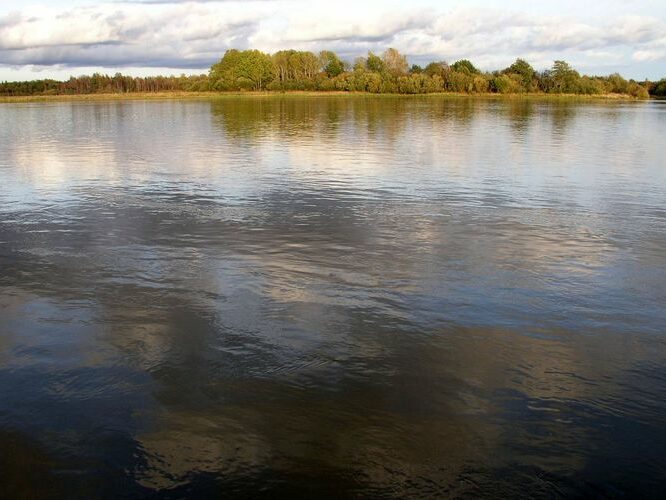 Maakond: Ida-Virumaa Veekogu nimi: Narva jõgi Pildistamise aeg: 7. oktoober 2009 Pildistaja: H. Timm Pildistamise koht: Vasknarva Asimuut: