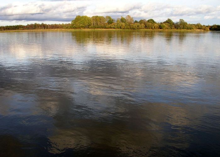 Maakond: Ida-Virumaa Veekogu nimi: Narva jõgi Pildistamise aeg: 7. oktoober 2009 Pildistaja: H. Timm Pildistamise koht: Vasknarva Asimuut: