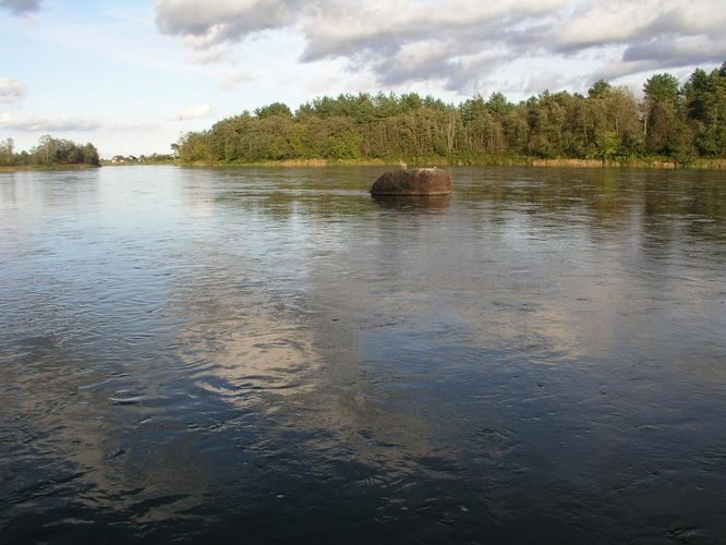 Maakond: Ida-Virumaa Veekogu nimi: Narva jõgi Pildistamise aeg: 7. oktoober 2009 Pildistaja: H. Timm Pildistamise koht: Suursaar Asimuut: