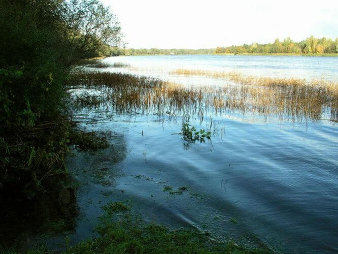 Maakond: Ida-Virumaa Veekogu nimi: Narva jõgi Pildistamise aeg: 7. oktoober 2009 Pildistaja: H. Timm Pildistamise koht: Siivertsi Asimuut: