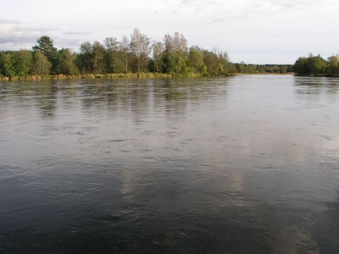 Maakond: Ida-Virumaa Veekogu nimi: Narva jõgi Pildistamise aeg: 7. oktoober 2009 Pildistaja: H. Timm Pildistamise koht: Suursaar Asimuut: