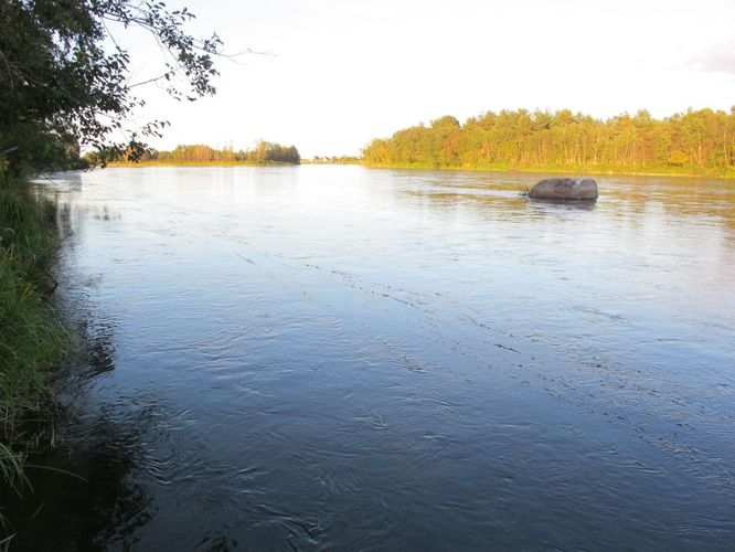 Maakond: Ida-Virumaa Veekogu nimi: Narva jõgi Pildistamise aeg: 30. september 2010 Pildistaja: H. Timm Pildistamise koht: suur kivi Asimuut: