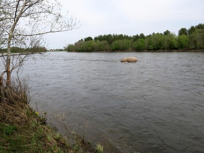 Maakond: Ida-Virumaa Veekogu nimi: Narva jõgi Pildistamise aeg: 14. mai 2013 Pildistaja: H. Timm Pildistamise koht: suur kivi Asimuut: