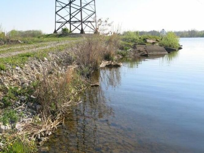 Maakond: Ida-Virumaa Veekogu nimi: Narva veehoidla Pildistamise aeg: 15. mai 2013 Pildistaja: H. Timm Pildistamise koht: poolsaar Asimuut: