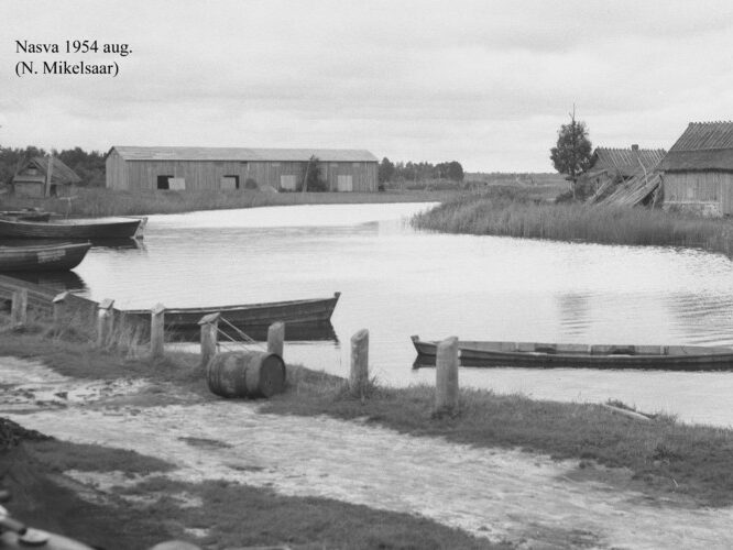 Maakond: Saaremaa Veekogu nimi: Nasva jõgi Pildistamise aeg: august 1954 Pildistaja: N. Mikelsaar Pildistamise koht: teadmata Asimuut: