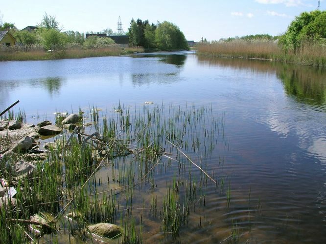 Maakond: Saaremaa Veekogu nimi: Nasva jõgi Pildistamise aeg: 14. mai 2008 Pildistaja: H. Timm Pildistamise koht: teadmata Asimuut: