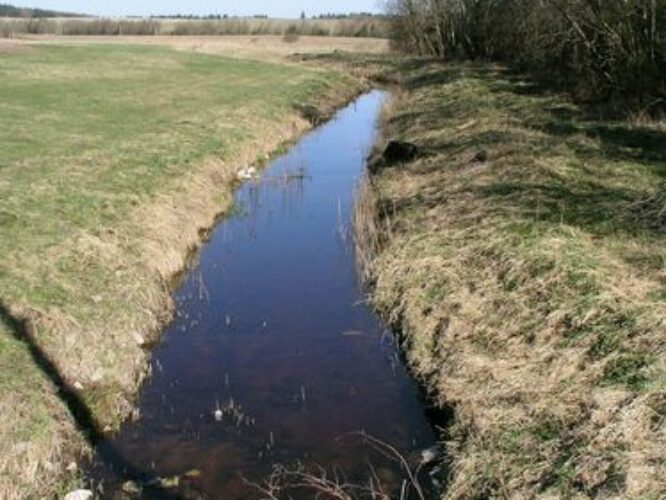 Maakond: Jõgevamaa Veekogu nimi: Nava oja Pildistamise aeg: 1. mai 2009 Pildistaja: H. Timm Pildistamise koht: Luua tee sillalt Asimuut: