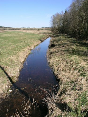 Maakond: Jõgevamaa Veekogu nimi: Nava oja Pildistamise aeg: 1. mai 2009 Pildistaja: H. Timm Pildistamise koht: Luua tee sillalt Asimuut: