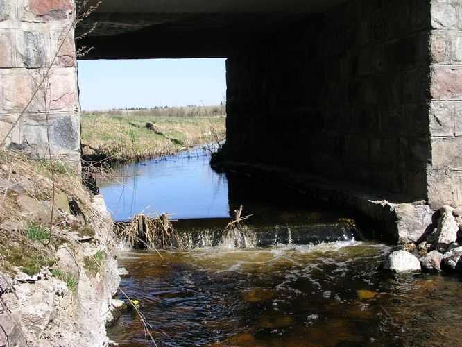 Maakond: Jõgevamaa Veekogu nimi: Nava oja Pildistamise aeg: 1. mai 2009 Pildistaja: H. Timm Pildistamise koht: Luua tee sillalt Asimuut: