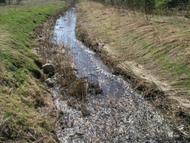 Maakond: Jõgevamaa Veekogu nimi: Nava oja Pildistamise aeg: 1. mai 2009 Pildistaja: H. Timm Pildistamise koht: Luua tee sillalt Asimuut: