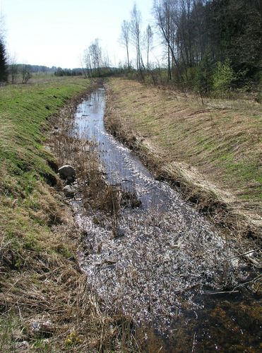 Maakond: Jõgevamaa Veekogu nimi: Nava oja Pildistamise aeg: 1. mai 2009 Pildistaja: H. Timm Pildistamise koht: Luua tee sillalt Asimuut: