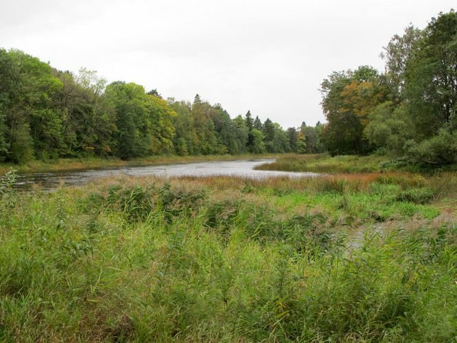 Maakond: Pärnumaa Veekogu nimi: Navesti ja Pärnu jõgi Pildistamise aeg: 15. september 2011 Pildistaja: H. Timm Pildistamise koht: Tori-Jõesuu Asimuut: