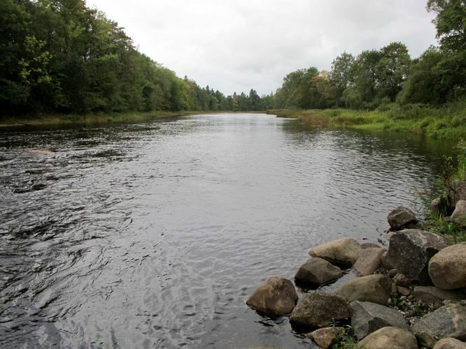 Maakond: Pärnumaa Veekogu nimi: Navesti ja Pärnu jõgi Pildistamise aeg: 15. september 2011 Pildistaja: H. Timm Pildistamise koht: Tori-Jõesuu Asimuut: