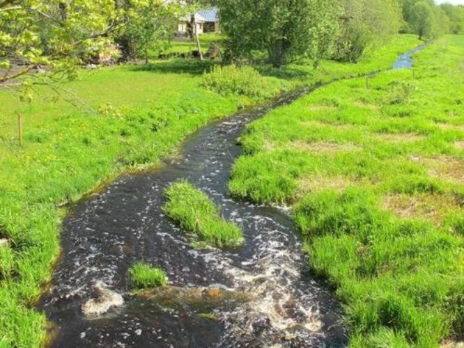 Maakond: Järvamaa Veekogu nimi: Navesti jõgi Pildistamise aeg: 19. mai 2012 Pildistaja: H. Timm Pildistamise koht: Taadikvere Asimuut: