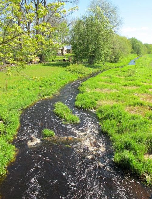 Maakond: Järvamaa Veekogu nimi: Navesti jõgi Pildistamise aeg: 19. mai 2012 Pildistaja: H. Timm Pildistamise koht: Taadikvere Asimuut: