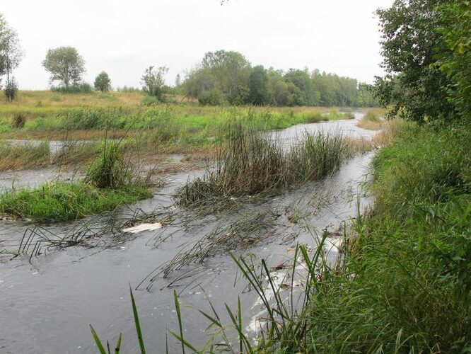 Maakond: Pärnumaa Veekogu nimi: Navesti jõgi Pildistamise aeg: 12. september 2012 Pildistaja: H. Timm Pildistamise koht: Pöörde Asimuut: