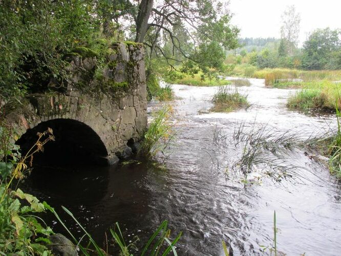 Maakond: Pärnumaa Veekogu nimi: Navesti jõgi Pildistamise aeg: 12. september 2012 Pildistaja: H. Timm Pildistamise koht: Pöörde Asimuut: