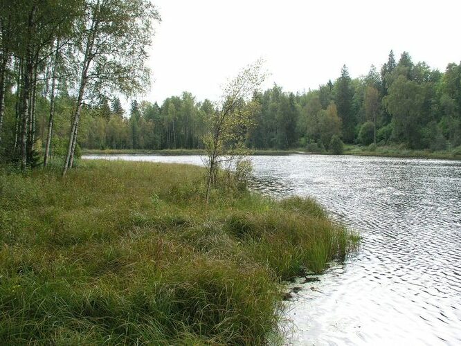 Maakond: Lääne-Virumaa Veekogu nimi: Neeruti Eesjärv Pildistamise aeg: 14. september 2009 Pildistaja: H. Timm Pildistamise koht: teadmata Asimuut: