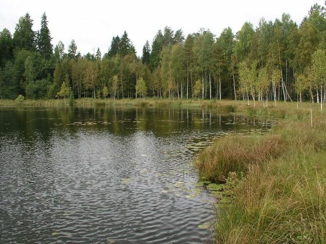 Maakond: Lääne-Virumaa Veekogu nimi: Neeruti Eesjärv Pildistamise aeg: 14. september 2009 Pildistaja: H. Timm Pildistamise koht: teadmata Asimuut: