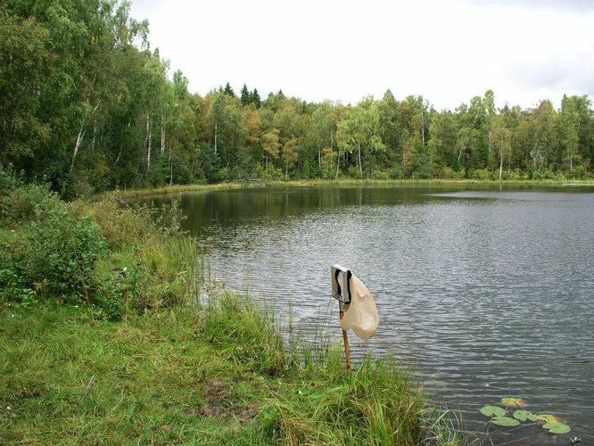 Maakond: Lääne-Virumaa Veekogu nimi: Neeruti Orajärv Pildistamise aeg: 14. september 2009 Pildistaja: H. Timm Pildistamise koht: teadmata Asimuut: